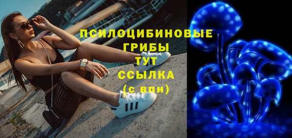 героин Алексин