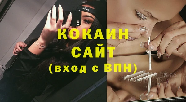 ешки Осинники