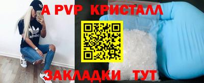 стафф Пенза