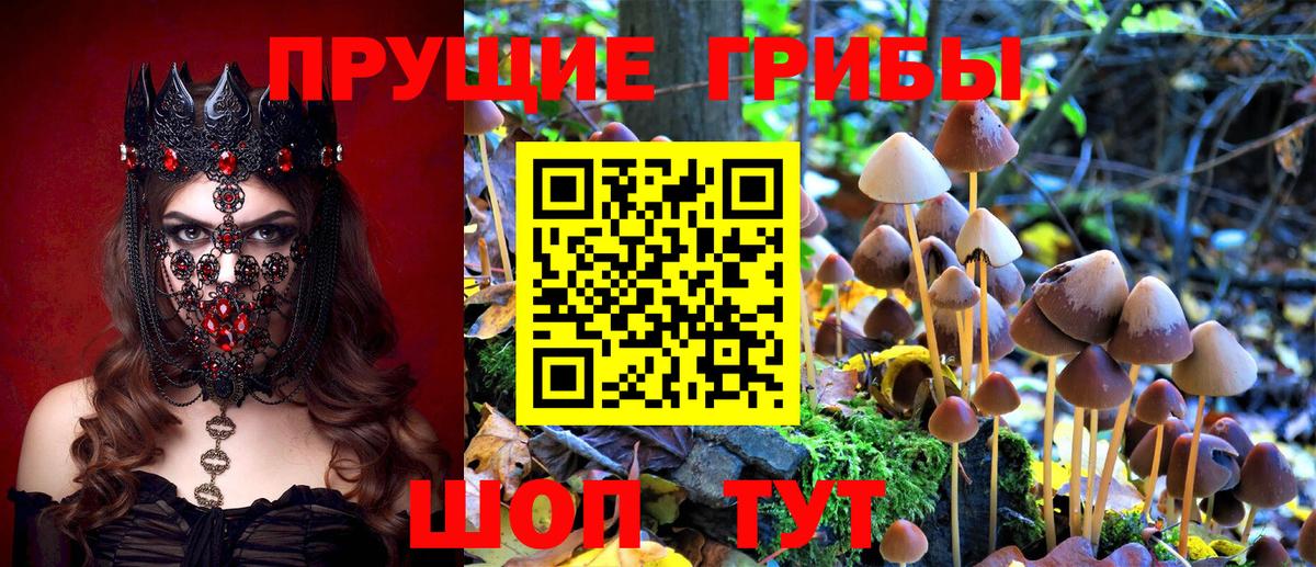 Галлюциногенные грибы GOLDEN TEACHER Югорск