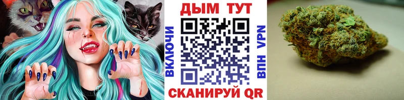 купить  сайты  Югорск  Бошки марихуана гибрид 